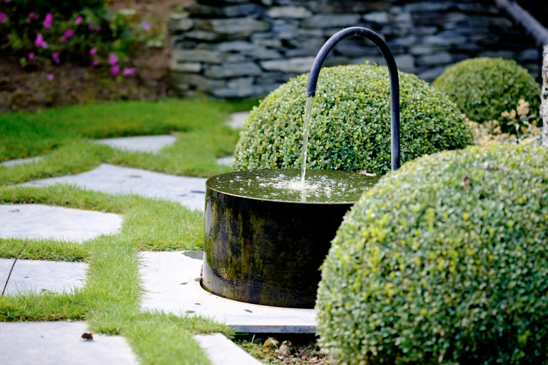 Showroom végétal Les Jardins Idée Ô