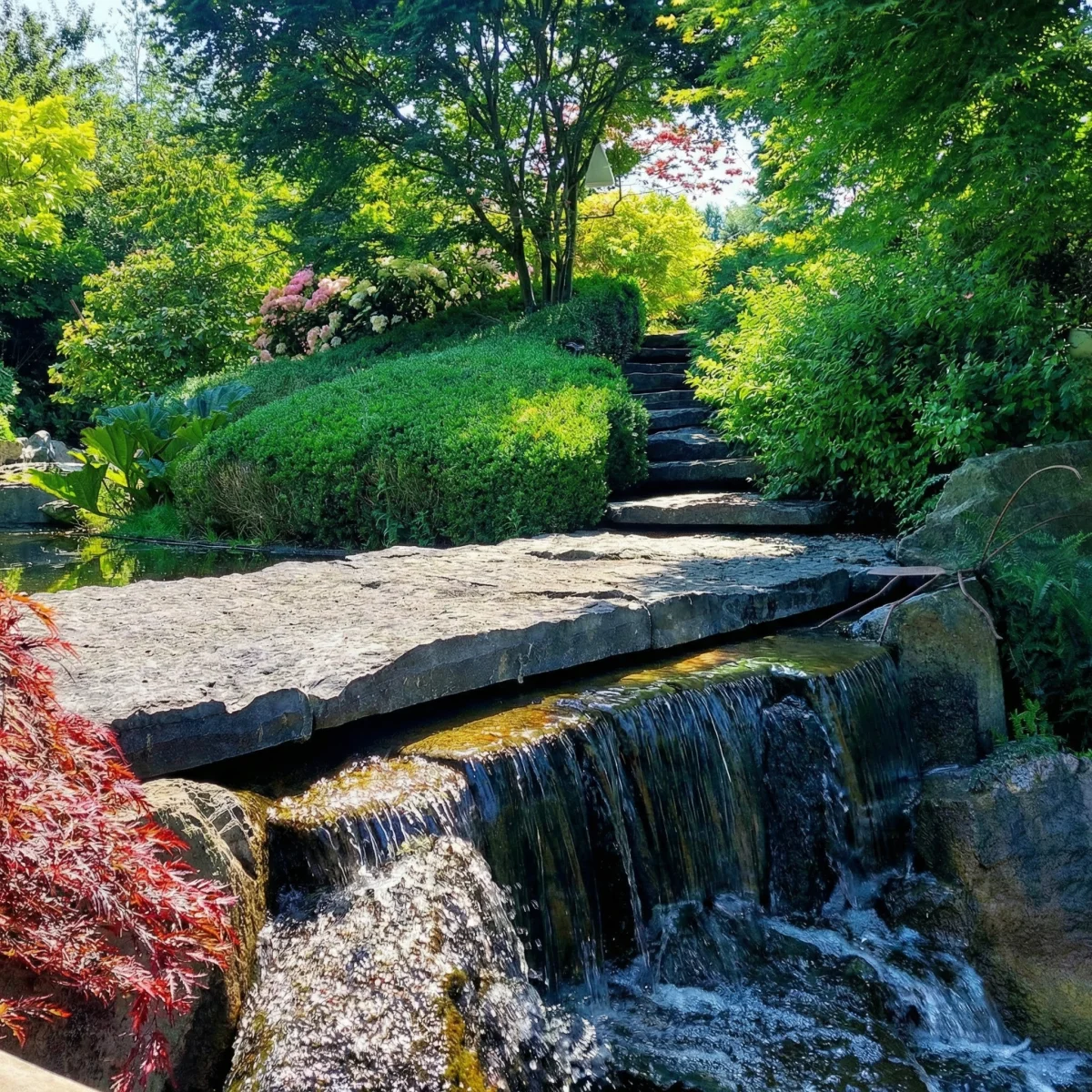 Cascade naturelle en pierre avec escalier paysager