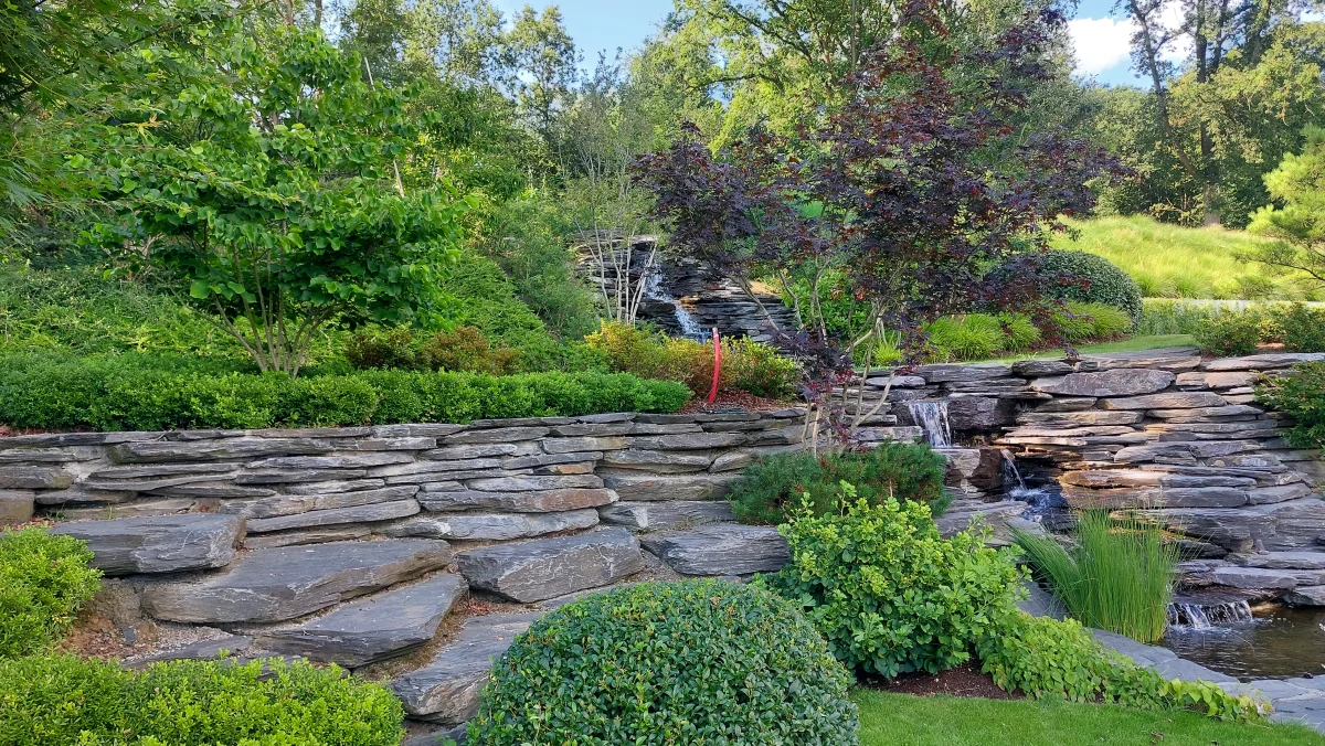 Rocaille avec cascade en pierre naturelle