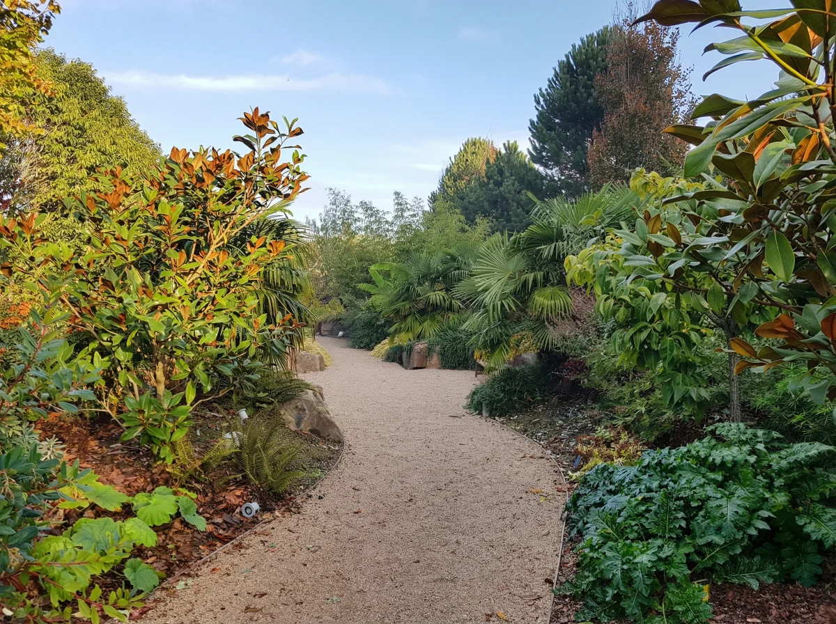 Chemin paysager avec plantations exotiques et ambiance naturelle