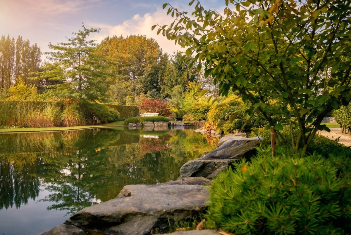 Étang paysager avec pierres naturelles et reflets