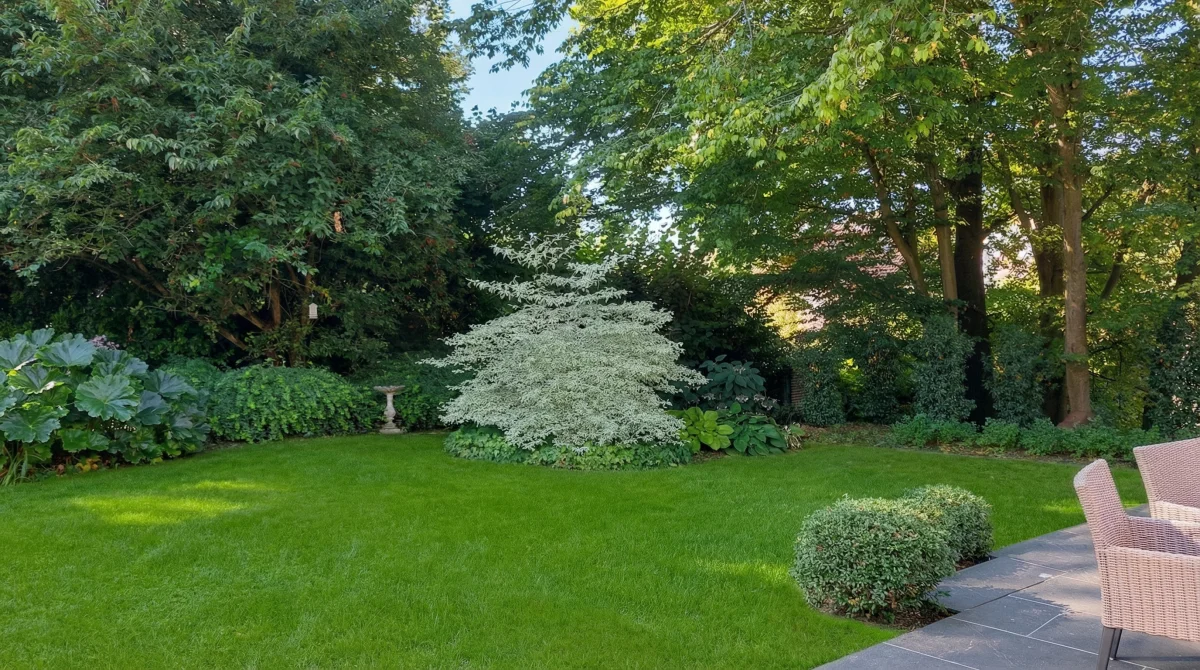 Jardin paysager avec arbre remarquable et pelouse soignée